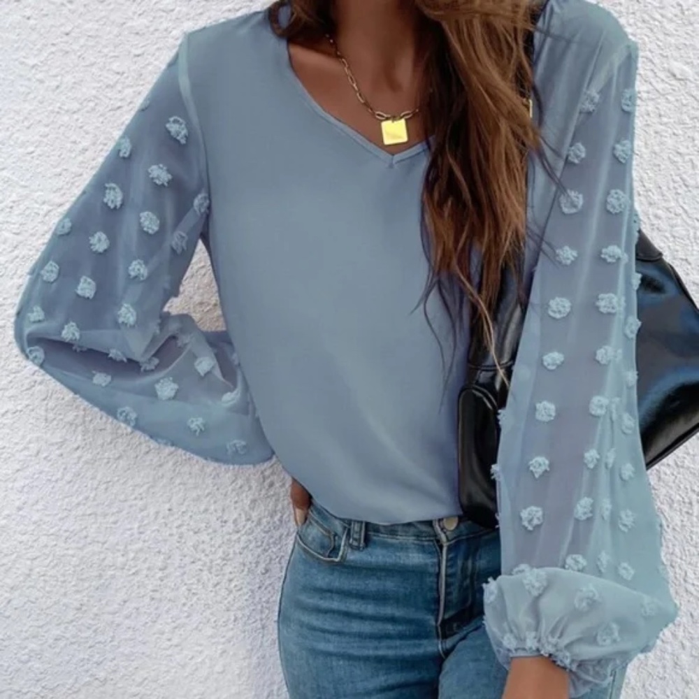Boho Swiss Polka Dot Sheer Sleeve Oversized Top Minimalist